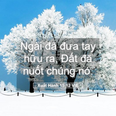 Picture 05 - Xuất Hành 15:12 VIE - Ngài đã đưa tay hữu ra, Đất đã nuốt - Bible Verse Picture