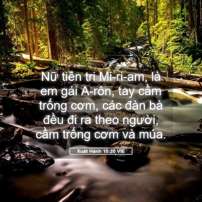 Picture 05 - Xuất Hành 15:20 VIE - Nữ tiên tri Mi-ri-am, là em gái A-rôn, tay - Bible Verse Picture