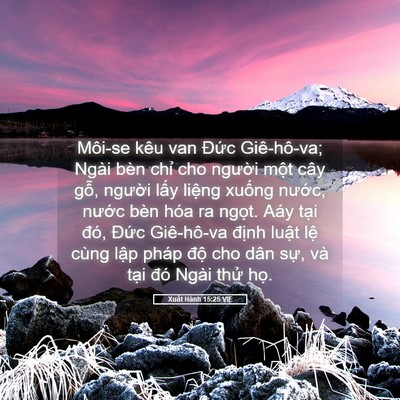 Picture 05 - Xuất Hành 15:25 VIE - Môi-se kêu van Đức Giê-hô-va; Ngài bèn - Bible Verse Picture