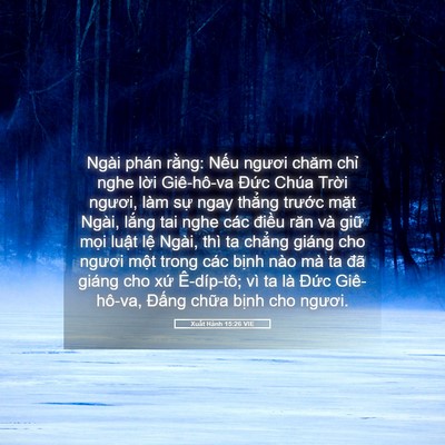 Picture 05 - Xuất Hành 15:26 VIE - Ngài phán rằng: Nếu ngươi chăm chỉ - Bible Verse Picture