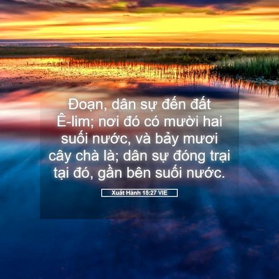 Picture 05 - Xuất Hành 15:27 VIE - Đoạn, dân sự đến đất Ê-lim; nơi - Bible Verse Picture