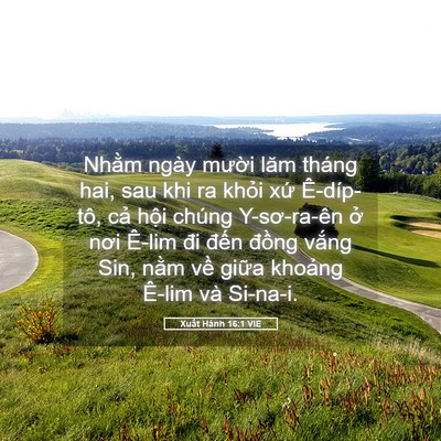 Picture 05 - Xuất Hành 16:1 VIE - Nhằm ngày mười lăm tháng hai, sau khi ra - Bible Verse Picture