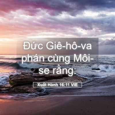 Picture 05 - Xuất Hành 16:11 VIE - Đức Giê-hô-va phán cùng Môi-se - Bible Verse Picture