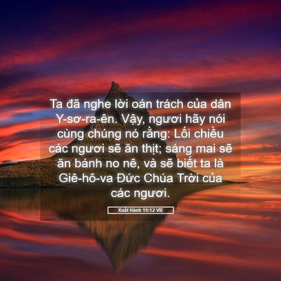 Picture 05 - Xuất Hành 16:12 VIE - Ta đã nghe lời oán trách của dân - Bible Verse Picture