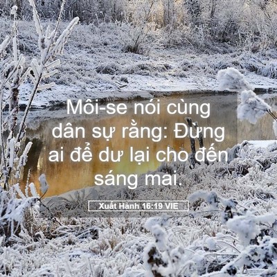 Picture 05 - Xuất Hành 16:19 VIE - Môi-se nói cùng dân sự rằng: Đừng ai - Bible Verse Picture