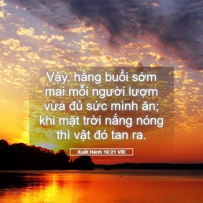 Picture 05 - Xuất Hành 16:21 VIE - Vậy, hằng buổi sớm mai mỗi người - Bible Verse Picture