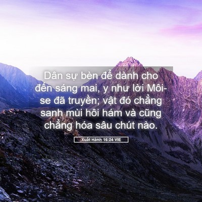 Picture 05 - Xuất Hành 16:24 VIE - Dân sự bèn để dành cho đến sáng mai, - Bible Verse Picture