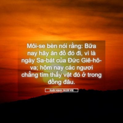 Picture 05 - Xuất Hành 16:25 VIE - Môi-se bèn nói rằng: Bữa nay hãy ăn - Bible Verse Picture