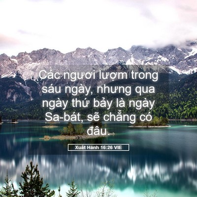 Picture 05 - Xuất Hành 16:26 VIE - Các ngươi lượm trong sáu ngày, nhưng qua - Bible Verse Picture