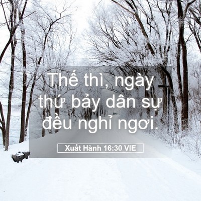 Picture 05 - Xuất Hành 16:30 VIE - Thế thì, ngày thứ bảy dân sự đều - Bible Verse Picture