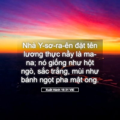 Picture 05 - Xuất Hành 16:31 VIE - Nhà Y-sơ-ra-ên đặt tên lương thực - Bible Verse Picture