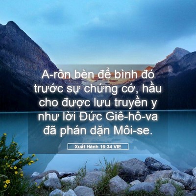 Picture 05 - Xuất Hành 16:34 VIE - A-rôn bèn để bình đó trước sự - Bible Verse Picture