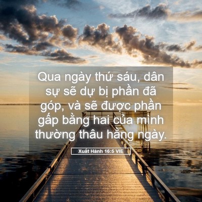 Picture 05 - Xuất Hành 16:5 VIE - Qua ngày thứ sáu, dân sự sẽ dự bị - Bible Verse Picture