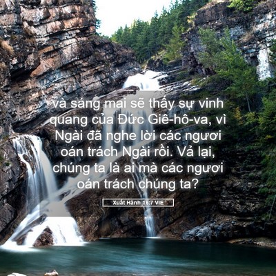 Picture 05 - Xuất Hành 16:7 VIE - và sáng mai sẽ thấy sự vinh quang của - Bible Verse Picture