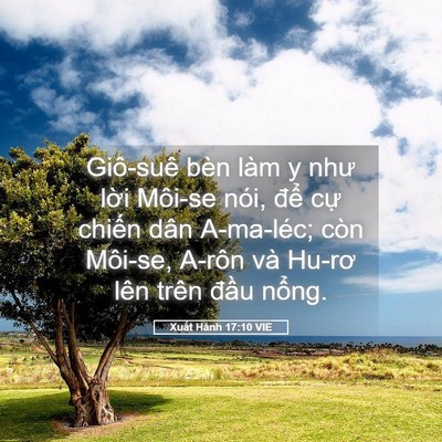 Picture 05 - Xuất Hành 17:10 VIE - Giô-suê bèn làm y như lời Môi-se nói, - Bible Verse Picture
