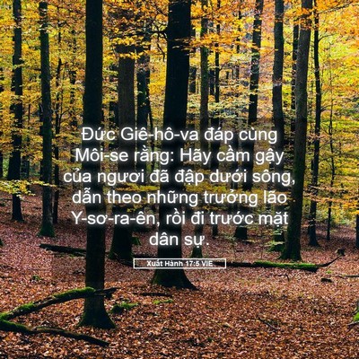 Picture 05 - Xuất Hành 17:5 VIE - Đức Giê-hô-va đáp cùng Môi-se rằng: - Bible Verse Picture