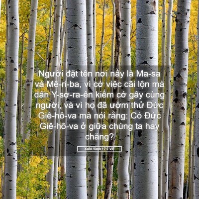Picture 05 - Xuất Hành 17:7 VIE - Người đặt tên nơi nầy là Ma-sa và - Bible Verse Picture