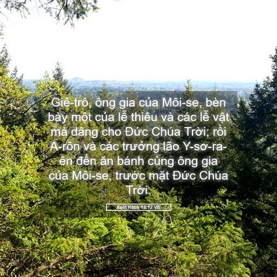 Picture 05 - Xuất Hành 18:12 VIE - Giê-trô, ông gia của Môi-se, bèn bày - Bible Verse Picture