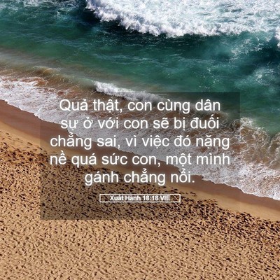 Picture 05 - Xuất Hành 18:18 VIE - Quả thật, con cùng dân sự ở với con - Bible Verse Picture