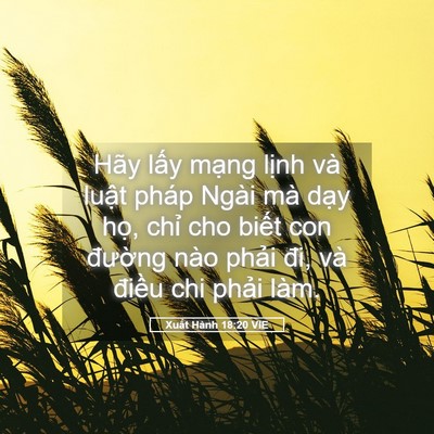 Picture 05 - Xuất Hành 18:20 VIE - Hãy lấy mạng lịnh và luật pháp Ngài - Bible Verse Picture