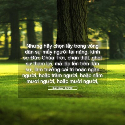 Picture 05 - Xuất Hành 18:21 VIE - Nhưng hãy chọn lấy trong vòng dân sự - Bible Verse Picture