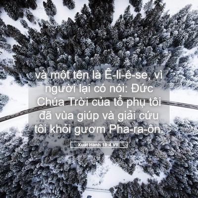 Picture 05 - Xuất Hành 18:4 VIE - và một tên là Ê-li-ê-se, vì người - Bible Verse Picture