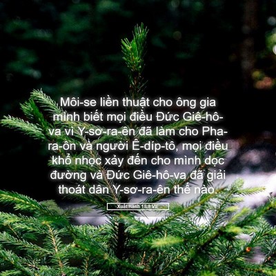 Picture 05 - Xuất Hành 18:8 VIE - Môi-se liền thuật cho ông gia mình biết - Bible Verse Picture