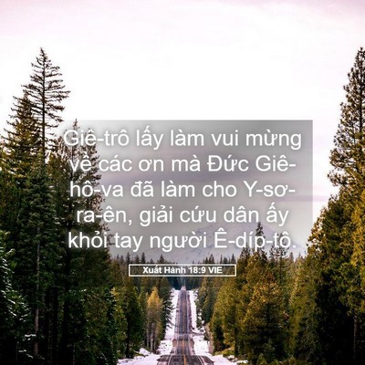 Picture 05 - Xuất Hành 18:9 VIE - Giê-trô lấy làm vui mừng về các ơn mà - Bible Verse Picture