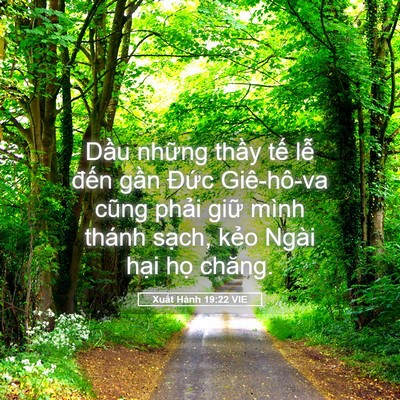 Picture 05 - Xuất Hành 19:22 VIE - Dầu những thầy tế lễ đến gần - Bible Verse Picture