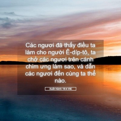 Picture 05 - Xuất Hành 19:4 VIE - Các ngươi đã thấy điều ta làm cho - Bible Verse Picture