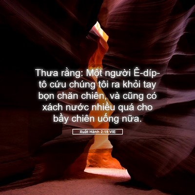 Picture 05 - Xuất Hành 2:19 VIE - Thưa rằng: Một người Ê-díp-tô cứu - Bible Verse Picture