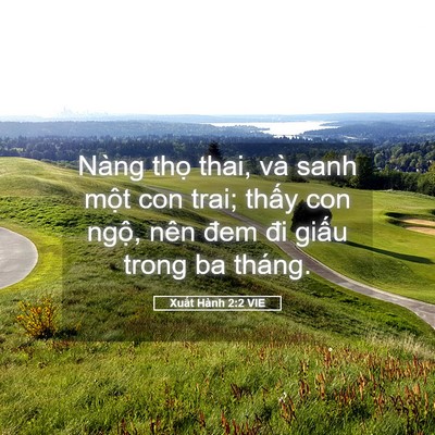 Picture 05 - Xuất Hành 2:2 VIE - Nàng thọ thai, và sanh một con trai; thấy - Bible Verse Picture