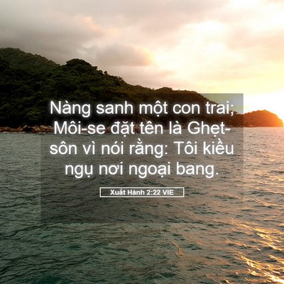 Picture 05 - Xuất Hành 2:22 VIE - Nàng sanh một con trai; Môi-se đặt tên - Bible Verse Picture