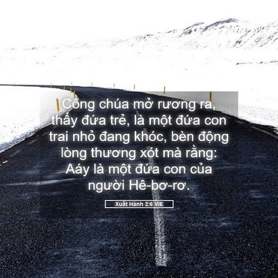 Picture 05 - Xuất Hành 2:6 VIE - Công chúa mở rương ra, thấy đứa trẻ, - Bible Verse Picture