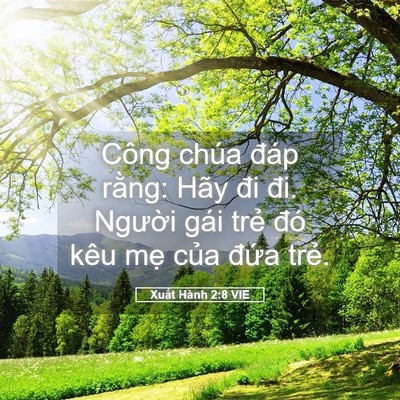 Picture 05 - Xuất Hành 2:8 VIE - Công chúa đáp rằng: Hãy đi đi. Người - Bible Verse Picture