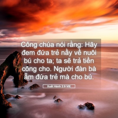 Picture 05 - Xuất Hành 2:9 VIE - Công chúa nói rằng: Hãy đem đứa trẻ - Bible Verse Picture