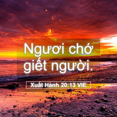 Picture 05 - Xuất Hành 20:13 VIE - Ngươi chớ giết - Bible Verse Picture