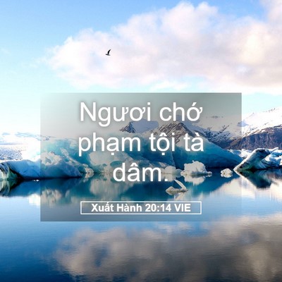 Picture 05 - Xuất Hành 20:14 VIE - Ngươi chớ phạm tội tà - Bible Verse Picture