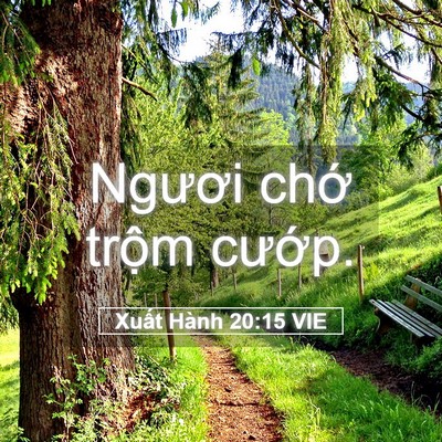 Picture 05 - Xuất Hành 20:15 VIE - Ngươi chớ trộm - Bible Verse Picture