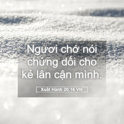 Picture 05 - Xuất Hành 20:16 VIE - Ngươi chớ nói chứng dối cho kẻ lân - Bible Verse Picture