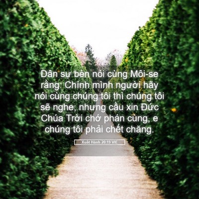 Picture 05 - Xuất Hành 20:19 VIE - Dân sự bèn nói cùng Môi-se rằng: Chính - Bible Verse Picture