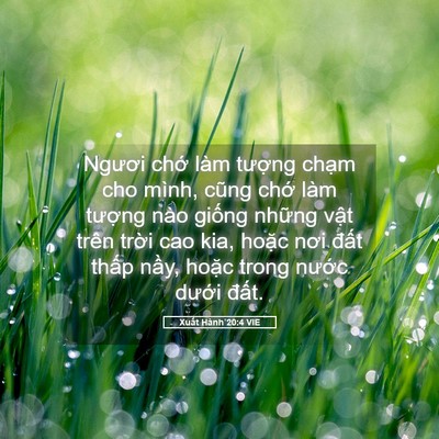 Picture 05 - Xuất Hành 20:4 VIE - Ngươi chớ làm tượng chạm cho mình, - Bible Verse Picture