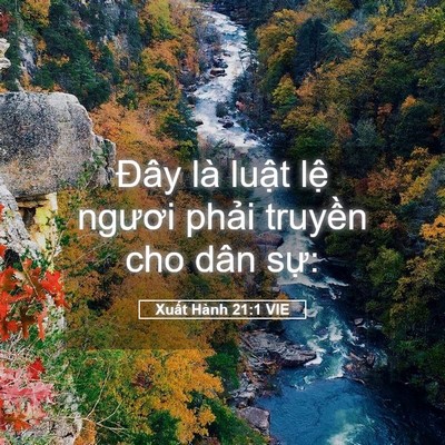 Picture 05 - Xuất Hành 21:1 VIE - Đây là luật lệ ngươi phải truyền cho - Bible Verse Picture