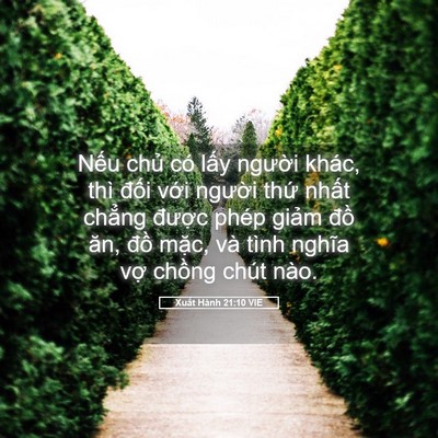 Picture 05 - Xuất Hành 21:10 VIE - Nếu chủ có lấy người khác, thì đối - Bible Verse Picture