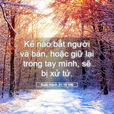 Picture 05 - Xuất Hành 21:16 VIE - Kẻ nào bắt người và bán, hoặc giữ - Bible Verse Picture