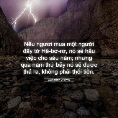 Picture 05 - Xuất Hành 21:2 VIE - Nếu ngươi mua một người đầy tớ - Bible Verse Picture