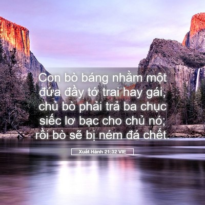 Picture 05 - Xuất Hành 21:32 VIE - Con bò báng nhằm một đứa đầy tớ - Bible Verse Picture