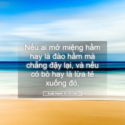 Picture 05 - Xuất Hành 21:33 VIE - Nếu ai mở miệng hầm hay là đào hầm - Bible Verse Picture
