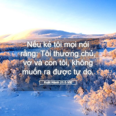 Picture 05 - Xuất Hành 21:5 VIE - Nếu kẻ tôi mọi nói rằng: Tôi thương - Bible Verse Picture