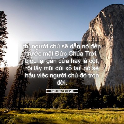 Picture 05 - Xuất Hành 21:6 VIE - thì người chủ sẽ dẫn nó đến - Bible Verse Picture